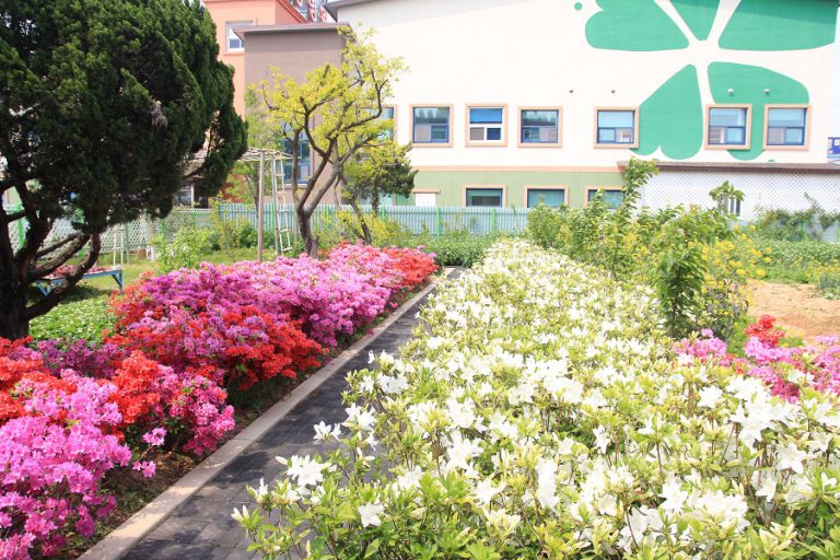 요양원 산책로에 꽃이 이쁘게 피었습니다.
