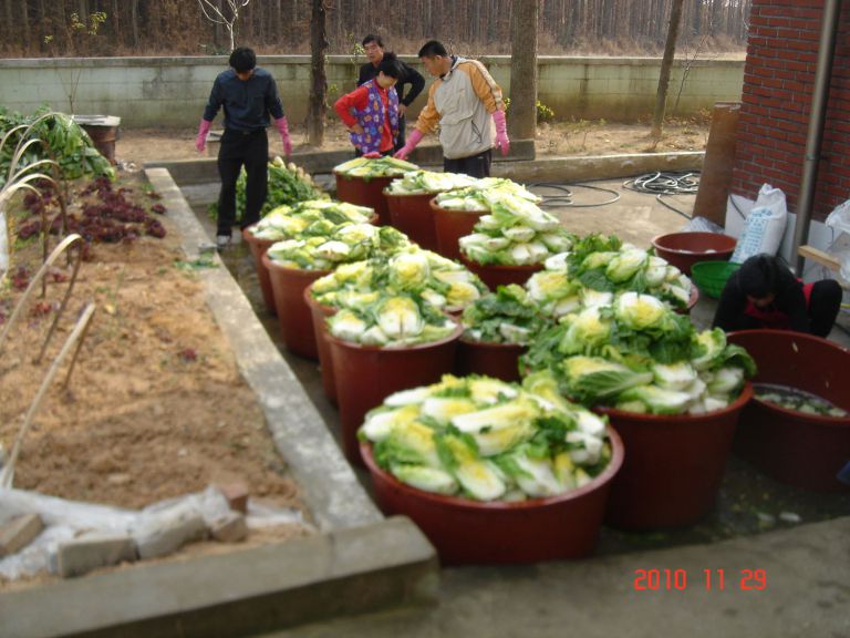 우리요양원 김장하는날!